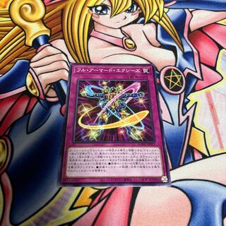 Fully armored exes Normal JP071