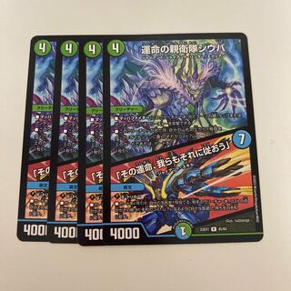 運命の親衛隊シウバ｜「その運命、我らもそれに従おう」 R 45/84