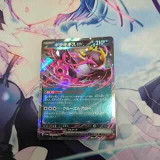 Kicchi Kigis ex RR 038/064