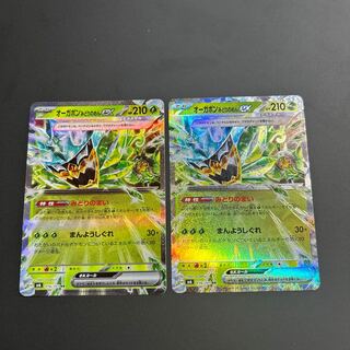 Ogapon Midori-no-men ex RR 016/101