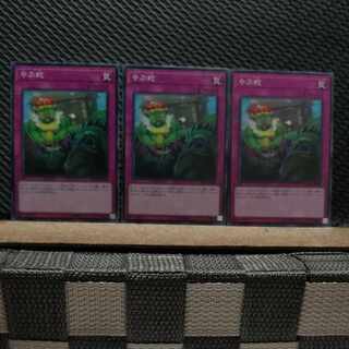 【ぽぽたん】遊戯王  2563  やぶ蛇  ノーマル  ３枚