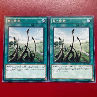 竜の霊廟 レア JP031