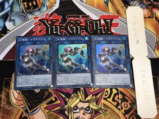 水精鱗-サラキアビス スーパー 3枚セット てら