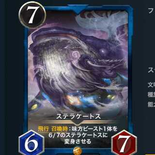 【最安値】ステラケートス