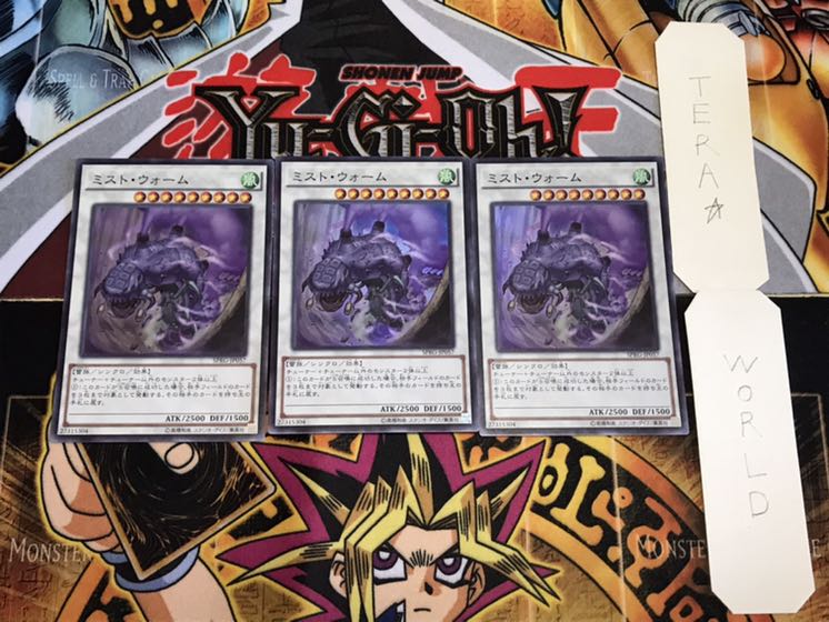 ミスト・ウォーム スーパー 3枚セット てら