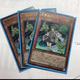 風霊媒師ウィン