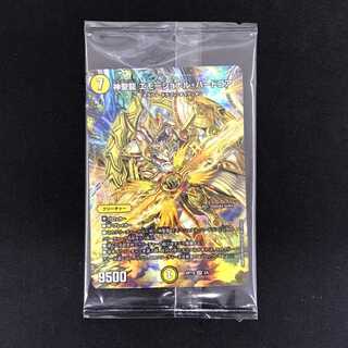 神聖龍 エモーショナル・ハードコア　SR　ART12　3/5