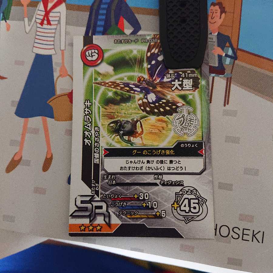 giant purple butterfly (species of nymphalid butterfly, Sasakia charonda)