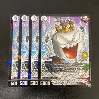 消王ケシカス P42/Y16