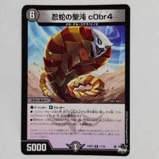 忍蛇の聖沌 c0br4 R 17/74