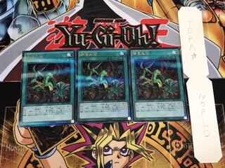 捕食生成 ウルトラパラレル 3枚セット てら