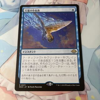 Big Owl's Little Night Tune 1枚