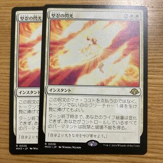 Flash of a firm ninja 2 pieces