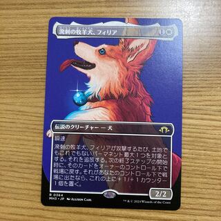 Filia, a lively farm Sheep dog, showcase 1枚