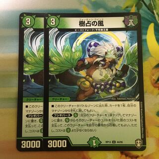 樹占の風 U 44/95