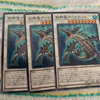 飢鰐竜アーケティス