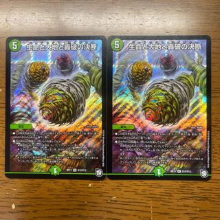 Life Life, Earth and Roaring Decision SR S12/S12