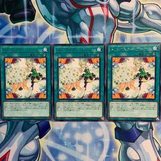 【R】トリックスター・ブーケ 3枚 FLOD-JP055