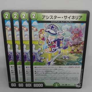 アシスター・サイネリア C 73/74