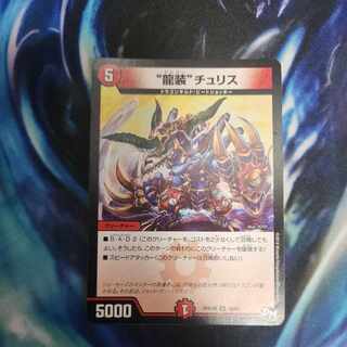 “龍装”チュリス R 16/61 1枚