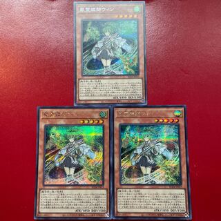 風霊媒師ウィン シークレットレア JP019