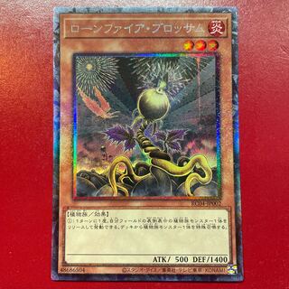 ローンファイア・ブロッサム コレクターズレア JP002