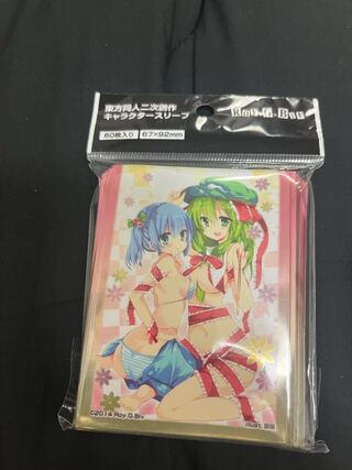 東方Project】河城にとり 鍵山雛 スリーブ