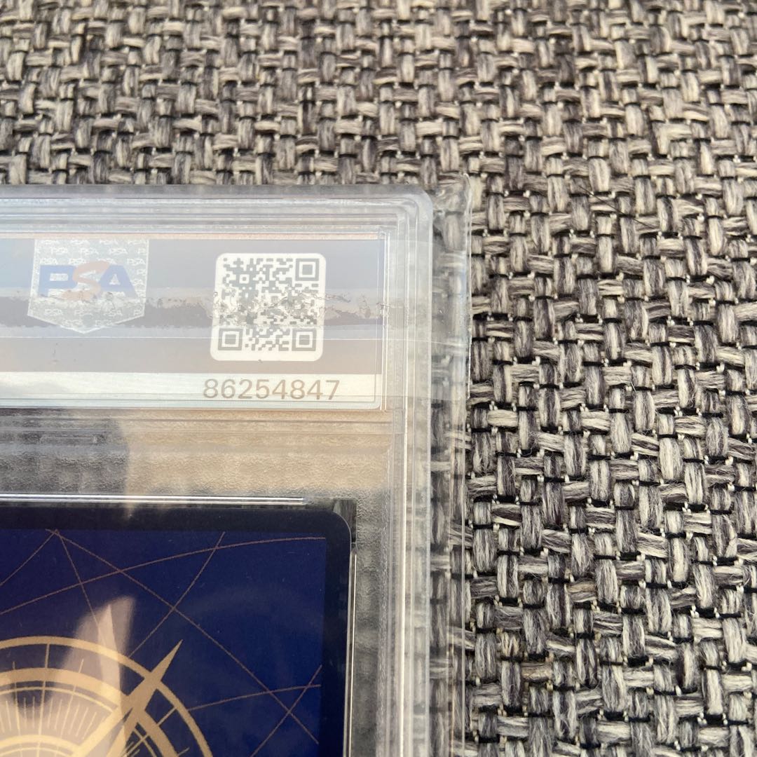 Nika Luffy Comic Parallel Comipara psa10