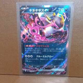 キチキギスex RR 038/064