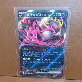 キチキギスex RR 038/064