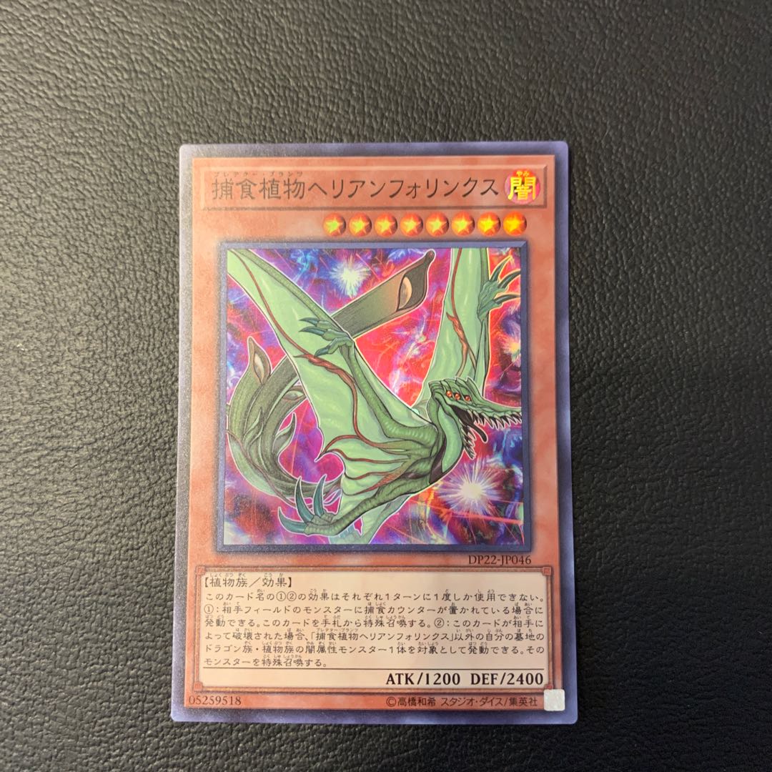 捕食植物ヘリアンフォリンクス SR