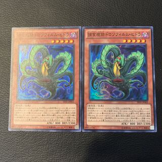 捕食植物ドロソフィルム・ヒドラ SR