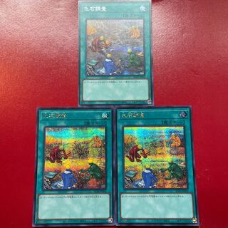 Fossil Dig Collector's Rare JP054