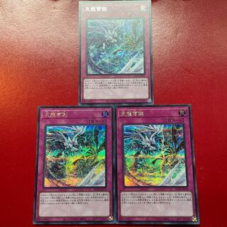 Ice Dragon's Prison Secret Rare JP079