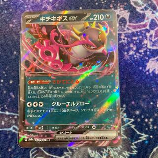 キチキギスex RR 038/064