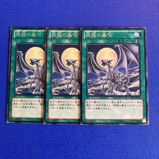 Silver's Cry Rare JP021