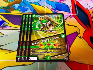 清浄のカルマ インカ｜オキヨメ・水晶チャージャー R 24/74