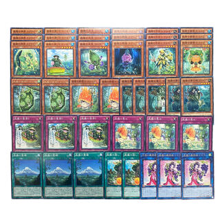 4049【遊戯王】森羅　デッキパーツ　まとめ売り