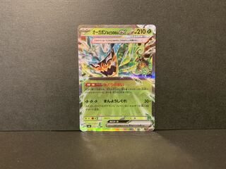 Ogapon Midori-no-men ex RR 016/101