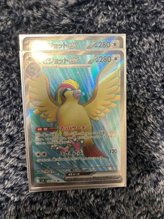 Pidgeotex SR 128/108