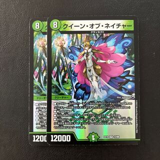 クイーン・オブ・ネイチャー VR 13/68