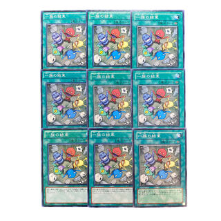 4066 [King of Games] Solidarity 9-card set