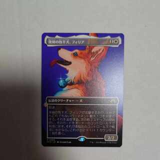 Filia Borderless, a resilient farm Sheep dog 1枚