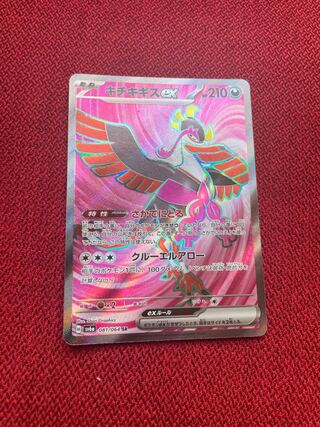 キチキギスex SR 081/064