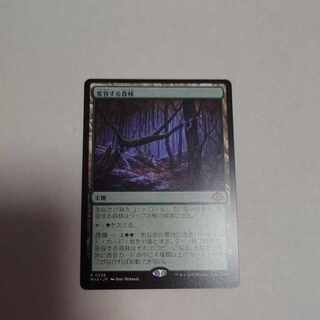 Transforming fresh greenery