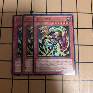 ピューマン　wstorm