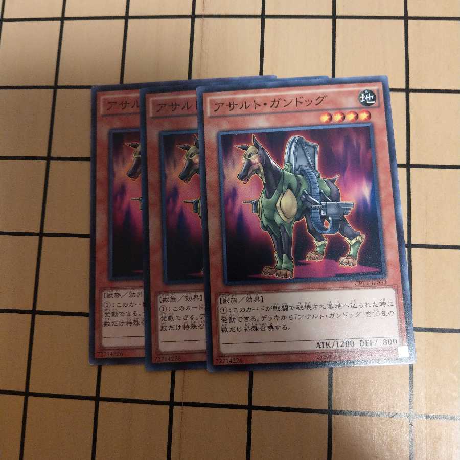 アサルト・ガンドッグ wstorm