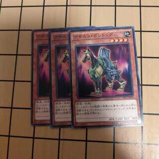 アサルト・ガンドッグ　wstorm