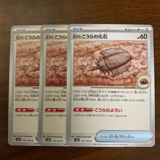 Old koura fossil C 155/165