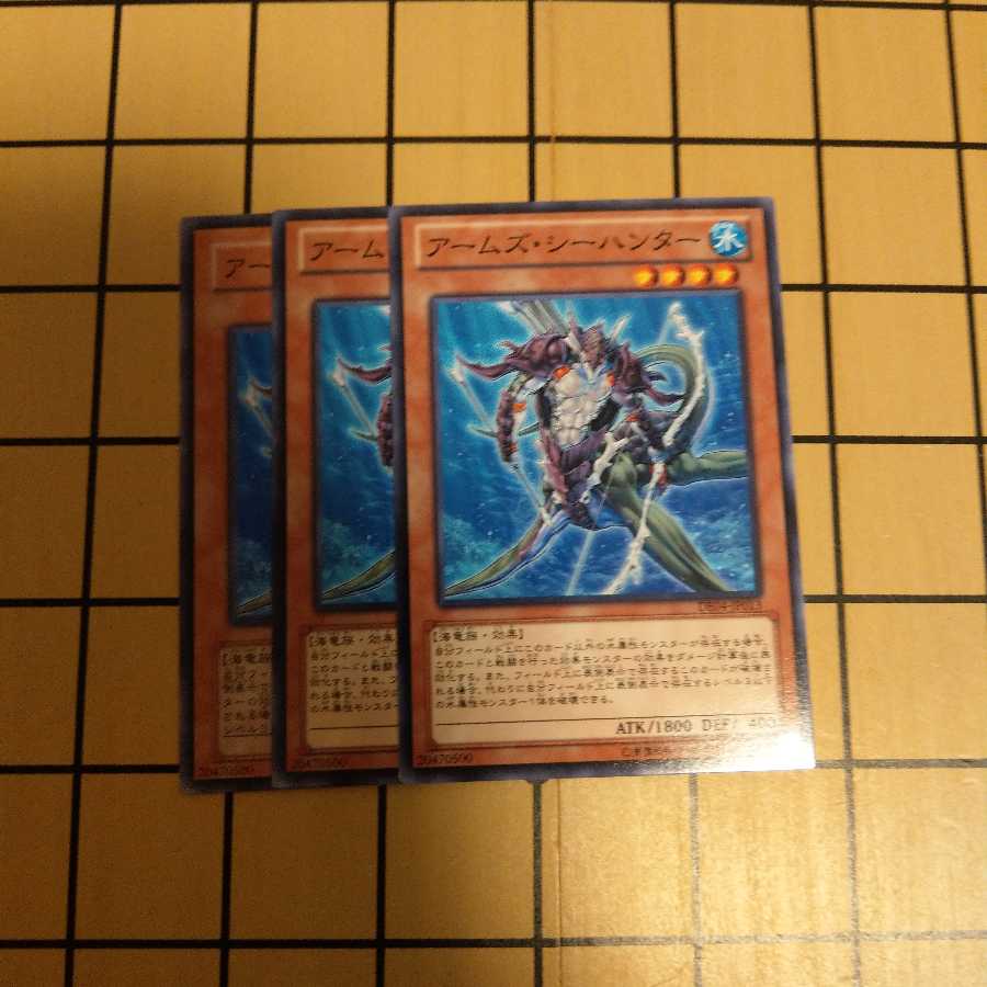 アームズ・シーハンター wstorm